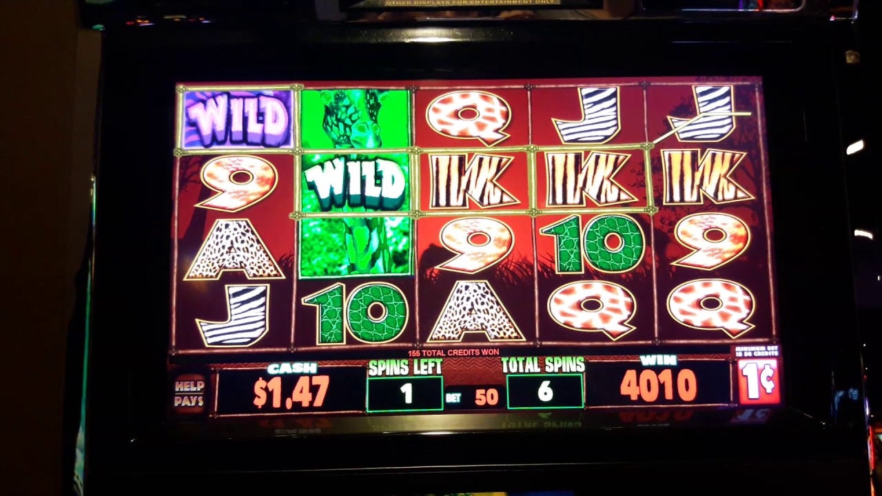 Kickapoo casino slot machine winners losers